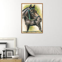 Load image into Gallery viewer, Horse - Full Diamond Painting - 30x40cm

