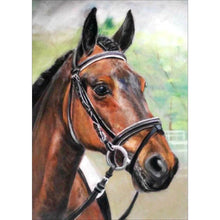 Load image into Gallery viewer, Horse - Full Diamond Painting - 30x40cm
