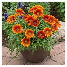 Load image into Gallery viewer, Flower Bouquet  - Full Drill Round Drill - 30x30cm
