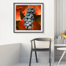 Load image into Gallery viewer, Sweet Grapes - Full Diamond Painting - 30x30cm
