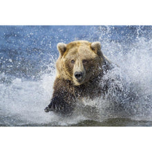 Load image into Gallery viewer, Animal - Full Diamond Painting - 30x40cm
