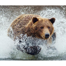 Load image into Gallery viewer, Animal - Full Diamond Painting - 30x40cm
