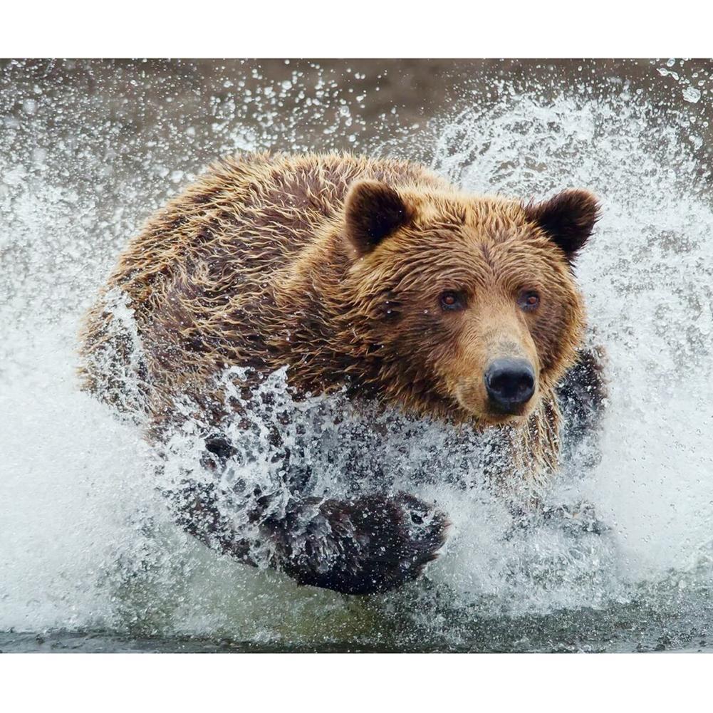 Animal - Full Diamond Painting - 30x40cm