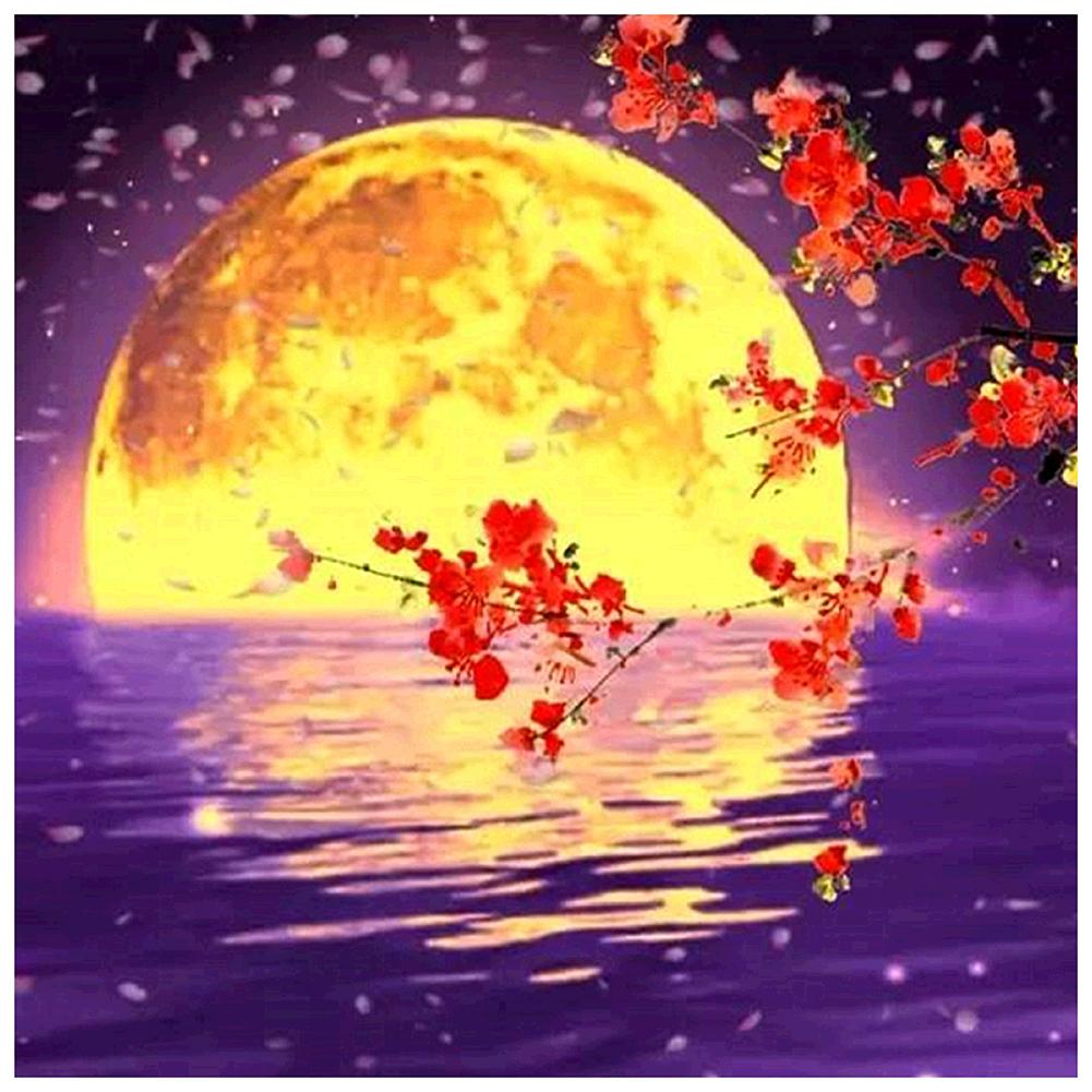 Moon - Full Diamond Painting - 30x30cm