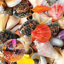 Load image into Gallery viewer, Seashell - Full Diamond Painting - 30x30cm

