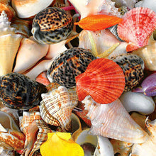 Load image into Gallery viewer, Seashell - Full Diamond Painting - 30x30cm
