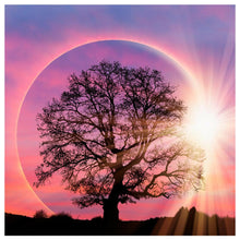 Load image into Gallery viewer, Tree Moon  - Full Diamond Painting - 30x30cm
