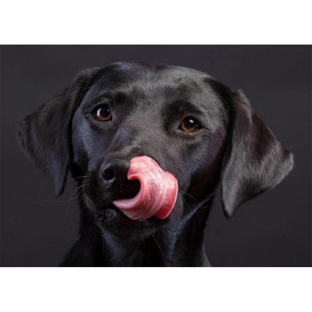 Black DogPictures  - Full Diamond Painting - 40x30cm