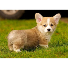 Load image into Gallery viewer, PuppyPictures  - Full Diamond Painting - 40x30cm
