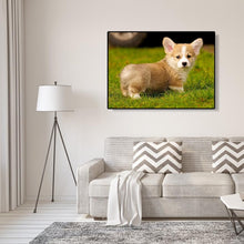 Load image into Gallery viewer, PuppyPictures  - Full Diamond Painting - 40x30cm
