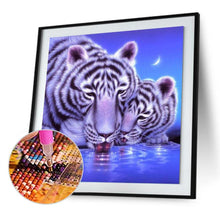 Load image into Gallery viewer, Snuggle Tiger - Full Diamond Painting - 30x30cm
