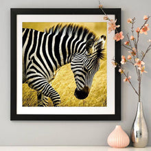 Load image into Gallery viewer, Walking Zebra - Full Diamond Painting - 30x30cm
