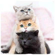 Load image into Gallery viewer, Lovely Cat - Full Drill Round Drill Painting - 30x30cm
