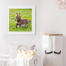 Load image into Gallery viewer, Donkey - Full Drill Round Drill - 30x30cm
