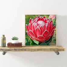 Load image into Gallery viewer, Flower  - Full Drill Round Drill - 30x30cm
