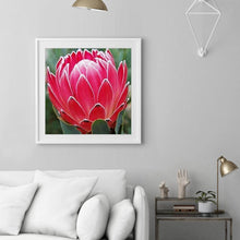 Load image into Gallery viewer, Flower - Full Drill Round Drill - 30x30cm
