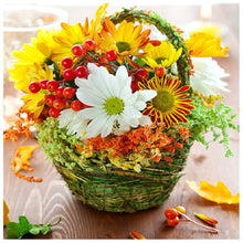 Load image into Gallery viewer, Flower Basket - Full Drill Round Drill - 30x30cm
