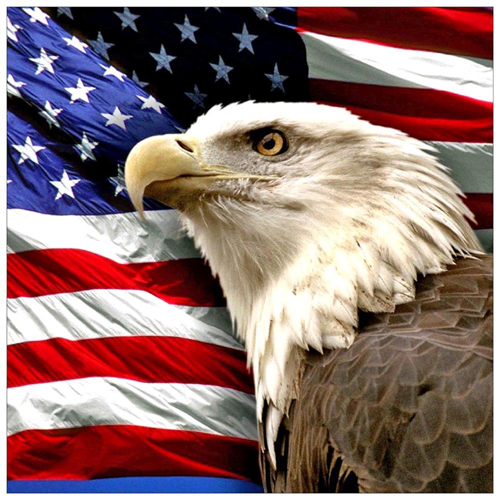 Eagle  - Full Drill Round Drill - 40x40cm