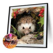 Load image into Gallery viewer, Animal Hedgehog - Full Drill Round Drill - 30x30cm
