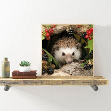 Load image into Gallery viewer, Animal Hedgehog - Full Drill Round Drill - 30x30cm
