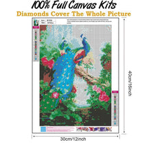 Load image into Gallery viewer, Lordly Peafowl  - Full Drill Round Drill - 30x40cm
