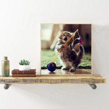 Load image into Gallery viewer, Kitten - Full Drill Round Drill - 30x30cm
