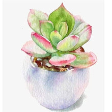 Load image into Gallery viewer, Succulent Plant  - Full Drill Round Drill - 30x30cm
