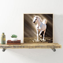 Load image into Gallery viewer, Horse - Full Drill Round Drill - 30x30cm
