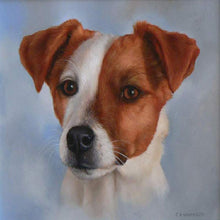 Load image into Gallery viewer, Animals  - Full Drill Round Drill - 30x30cm
