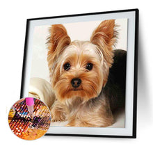 Load image into Gallery viewer, Dog Animal  - Full Drill Round Drill - 30x30cm
