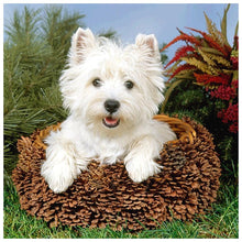 Load image into Gallery viewer, Dog - Full Drill Round Drill - 30x30cm
