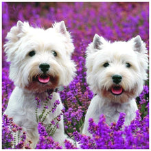 Load image into Gallery viewer, Dog Animal  - Full Drill Round Drill - 30x30cm
