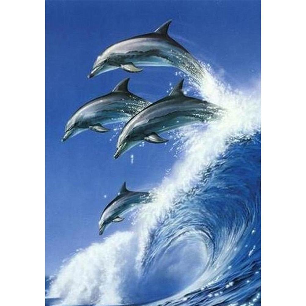 Dolphin  - Full Drill Round Drill - 30x40cm