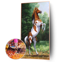 Load image into Gallery viewer, Active Horse - Full Drill Round Drill - 45x85cm
