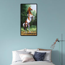 Load image into Gallery viewer, Active Horse - Full Drill Round Drill - 45x85cm
