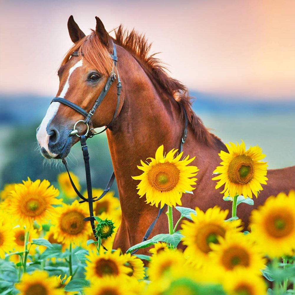 Horse And Sunflower-Full Drill Diamond Painting