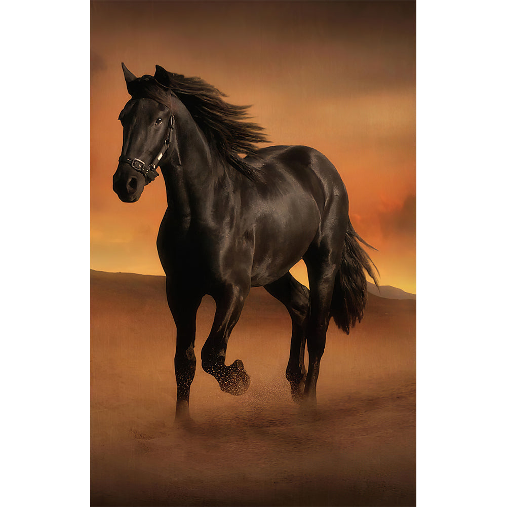 Dark Horse-Full Drill Diamond Painting-45x70cm