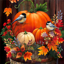 Load image into Gallery viewer, Harvest Pumpkin-Full Round Diamond Painting-30x30cm
